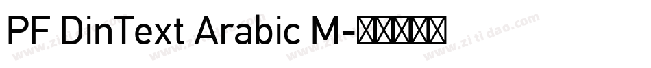 PF DinText Arabic M字体转换